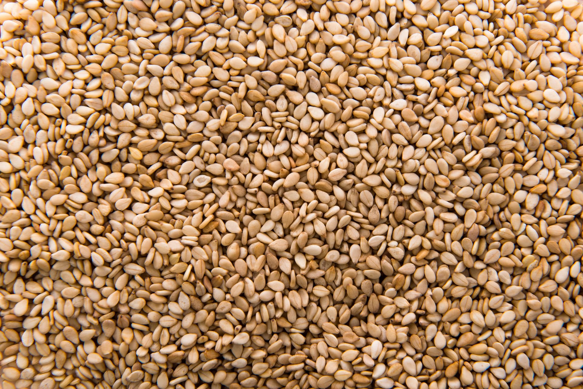 Agro-Input Supply