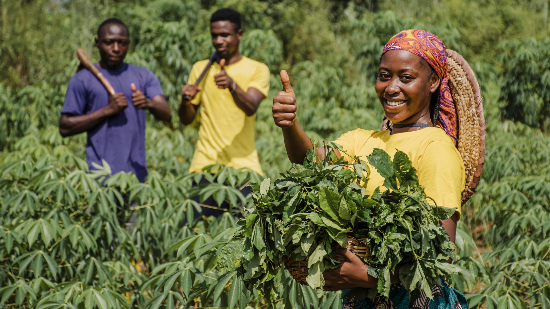 The communities we serve